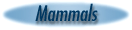 Mammals